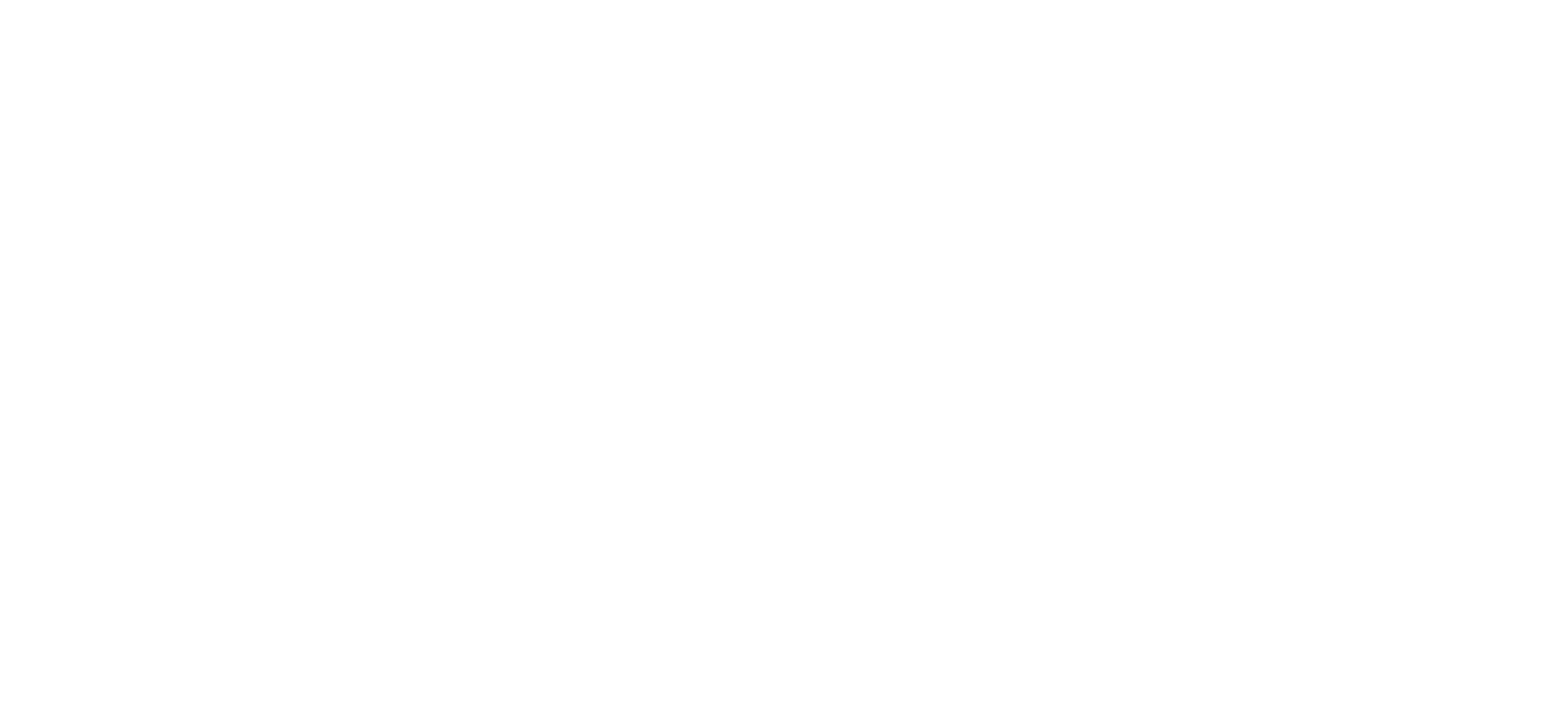 DMV GROUP