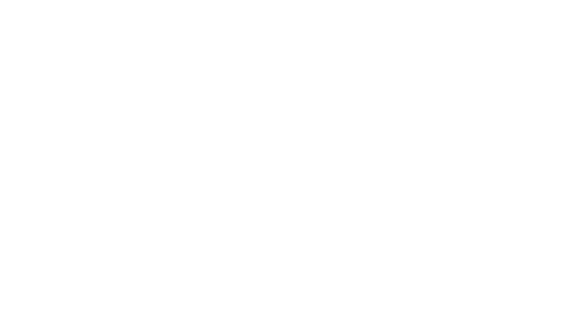 DMV GROUP